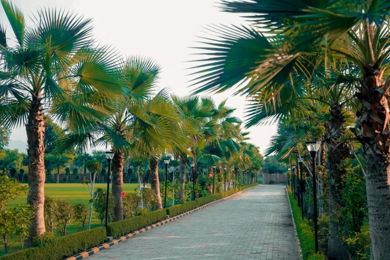 Pride Resort & Convention Center Ranakpur Near Ranakpur Dam Sādri 外观 照片