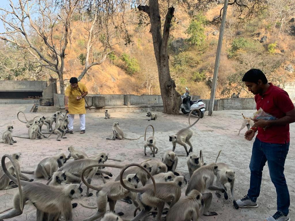 Pride Resort & Convention Center Ranakpur Near Ranakpur Dam Sādri 外观 照片